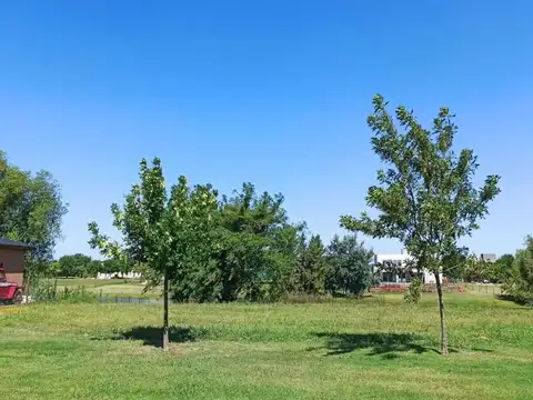 Terreno en Venta de 1035,0 m2