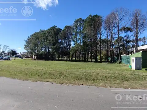 Terreno en Venta de 1197,0 m2