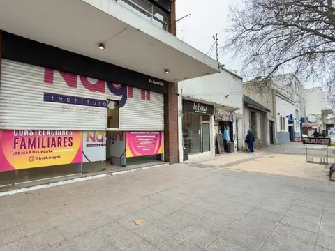 Local en Alquiler en Mar del Plata, Partido de General Pueyrredón