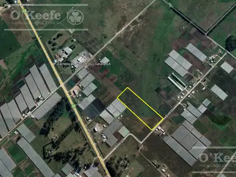 Chacra Hortícola en Venta - La Plata 3,1 has