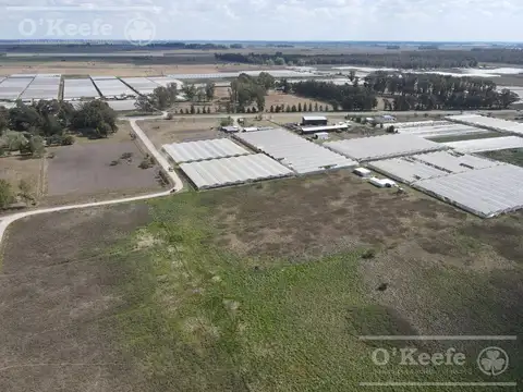 Chacra Hortícola en Venta - La Plata 3,1 has