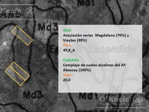 CHACRA HORTICOLA DE 3,1  ha EN VENTA