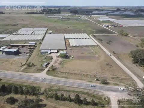 CHACRA HORTICOLA DE 3,1  ha EN VENTA