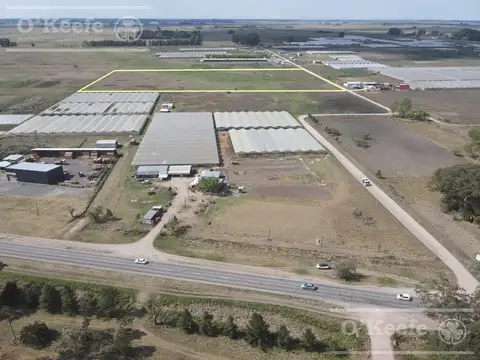 CHACRA HORTICOLA DE 3,1  ha EN VENTA