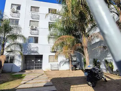 Padre Lozano 100