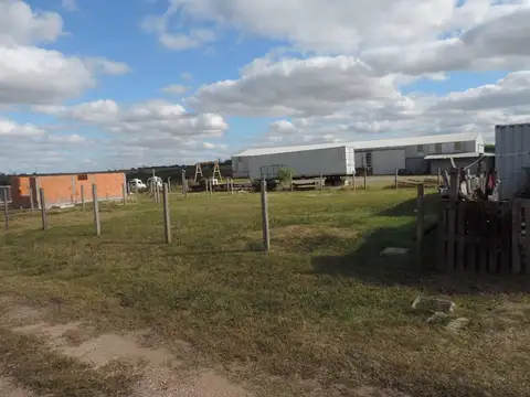 Terreno en Venta en Paysandu, USD 18.000