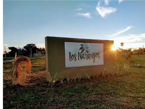 SE VENDE LOTE  Nº 109 EN LOTEO LOS NARANJOS