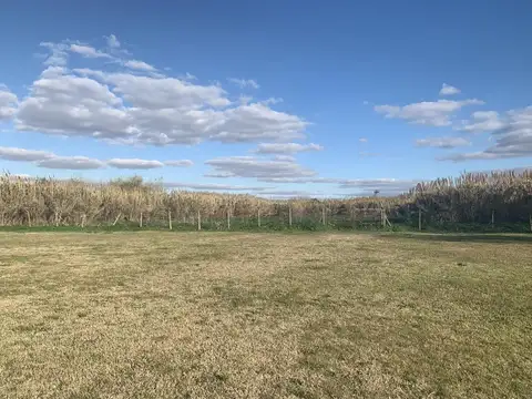 Depósito sobre Colectora Panamericana y Buen Ayre - Don Torcuato