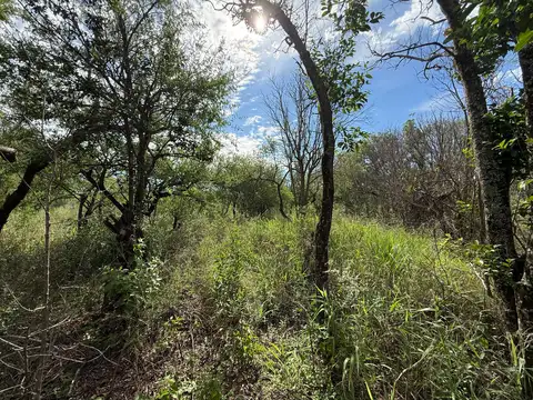 Terreno en venta en Cruz de Caña - Valle de Traslasierras
