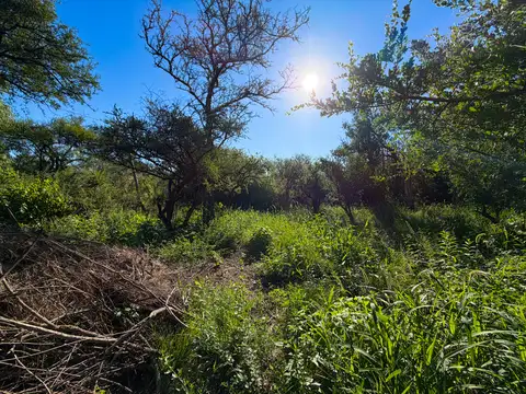 Terreno en Venta de 1300,0 m2