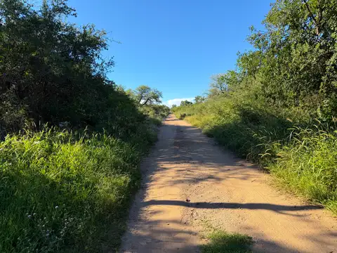 Terreno en Venta de 1300,0 m2