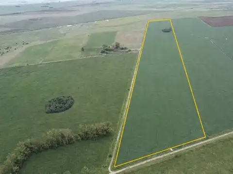 Campo mixto a la venta de 30 hectáreas en Monje.