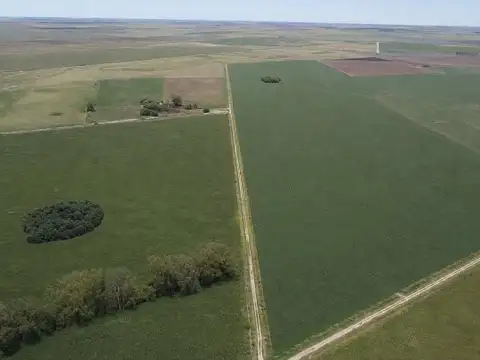 Campo en Venta en Monje, San Jerónimo