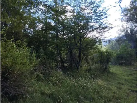 (016B) EL BOLSON (Mallin Ahogado) Chacra Amaranta 6 Has