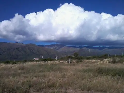 DOS LOTES DE TERRENO CONTIGUOS EN SAN LUIS