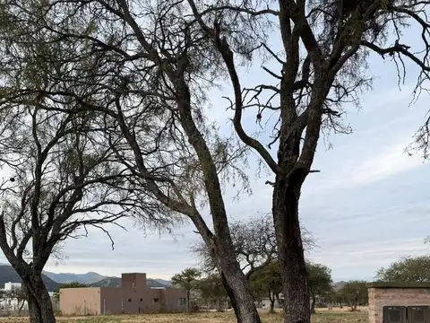 Terreno en Venta de 715,0 m2