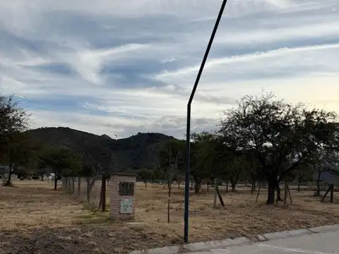 La Pancha 3