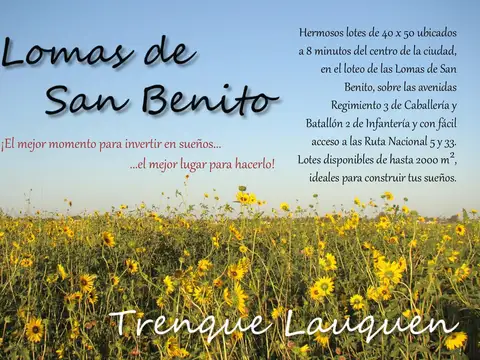 Terreno en  venta en Trenque Lauquen