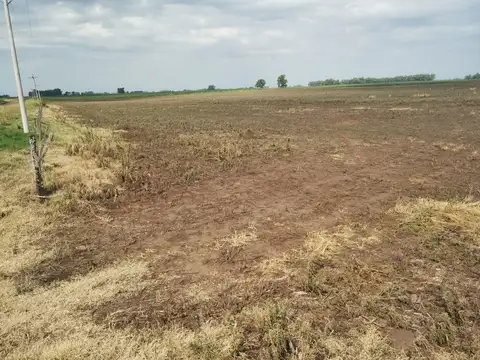 Campo en venta en Espigas