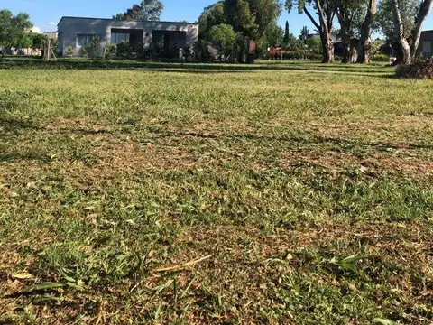 Terreno en Venta 17  mts Frente