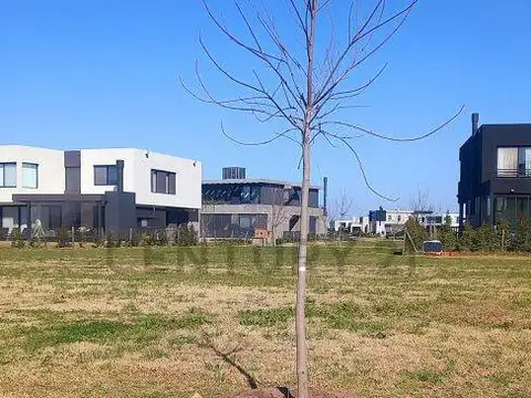 Av de la Cultura 100, Piso 0