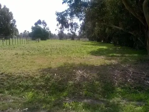 Terreno en Venta 60  mts Fondo