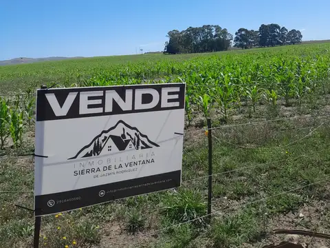 W8WH+QV Peralta, Provincia de Buenos Aires,