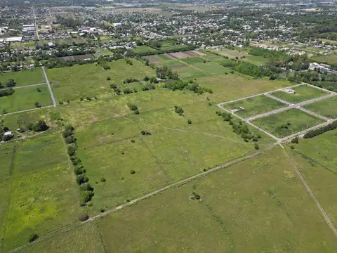 Fracción en VENTA | 16 hectáreas | 513 y 163 J. Gorina