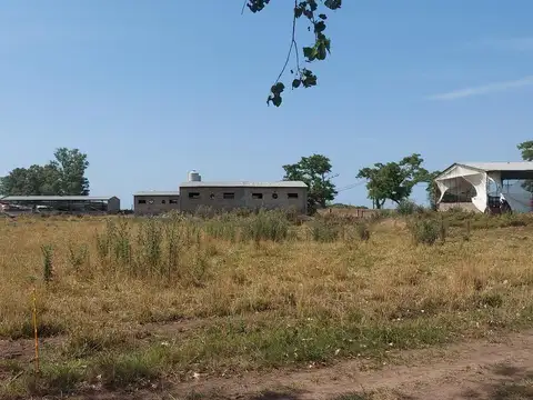 Campo y granja de cerdos a la venta en Gorchs, a pocos kilómetros de Ruta Nacional 3