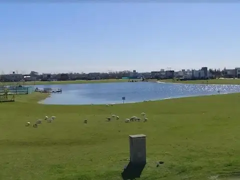 Los Troncos 100