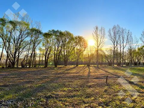 Venta lote 2000 m2 senillosa