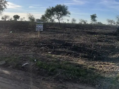 los inmigrantes y Yapeyu 2000