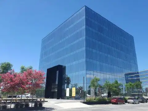 Oficina en  Alquiler Edificio P8 Buenavista 