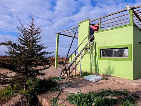 Adorable Puente- Tunuyan 500
