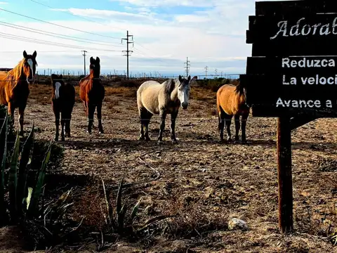 Venta quincho con pileta Adorable Puente Carrizal