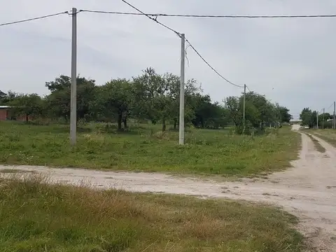 Calle pública 100