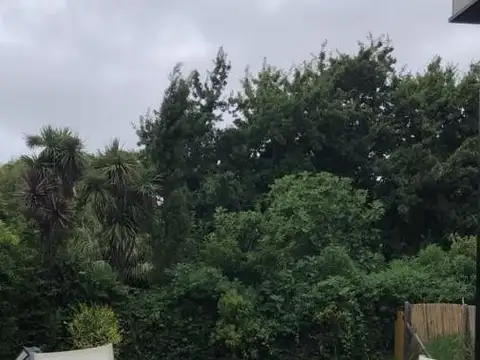 Casa en alquiler temporal Bosque Peralta Ramos