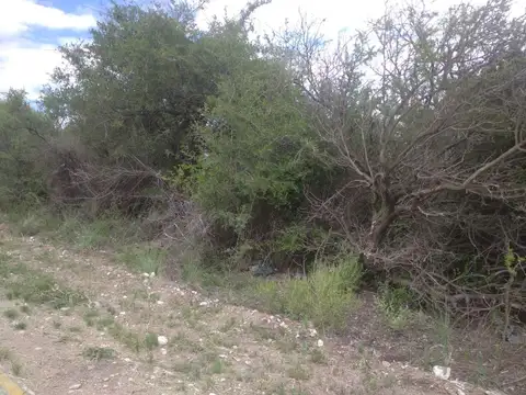 LOte sobre Ruta 1 en Cortaderas,San Luis