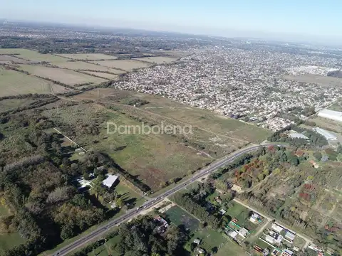 Ruta 25 100