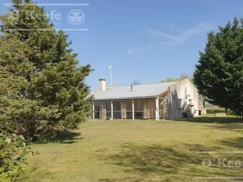 Campo Mixto en venta 292 has  en  Carlos Tejedor sobre Ruta 226 Oportunidad!