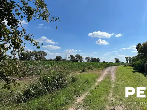 Ruta 24