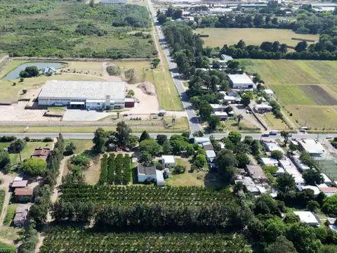 VENTA Terreno 55707 m2,LOGISTICA, PASO DE LA ARENA