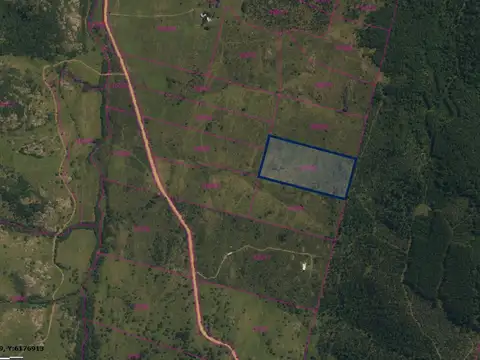 Ruta 81