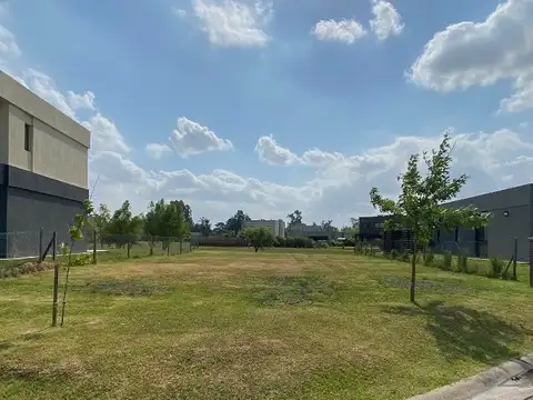 Lote central con fondo verde - Santa Lucía