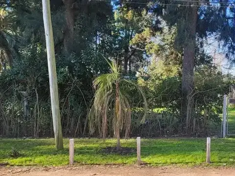 Terreno en Venta de 215,0 m2