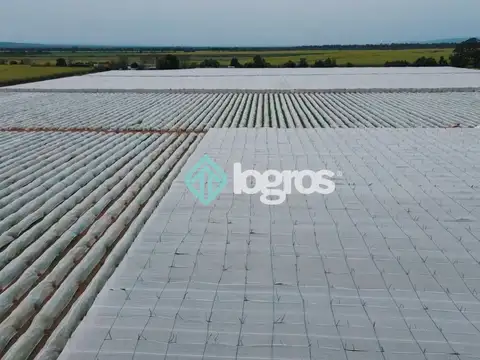 CAMPO EN VENTA - 120 has - Orán, Salta