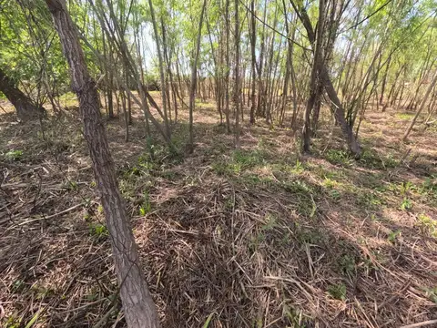 Terreno en Venta de 2300,0 m2