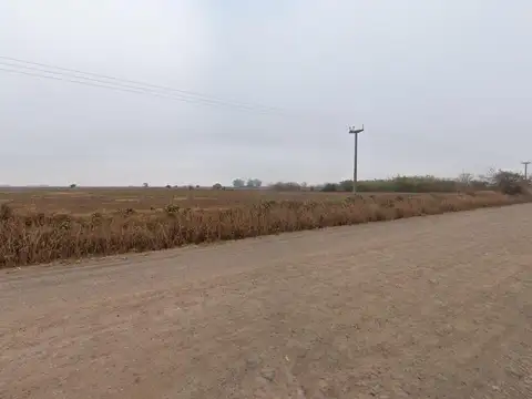 Au ROS-BS y RP225