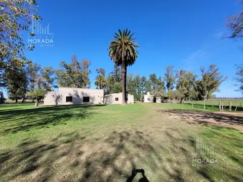 Venta campo agricola de 162 has con galpones y casa de visitas en Gral. Rodriguez