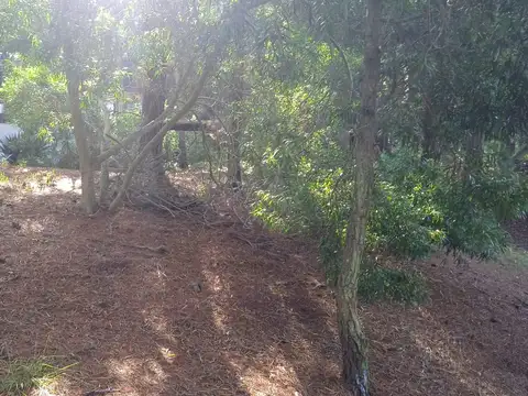 Terreno en Venta 45  mts Fondo
